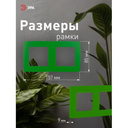 Рамка 2-м 12-5002-27 зел. ЭРА Б0019401