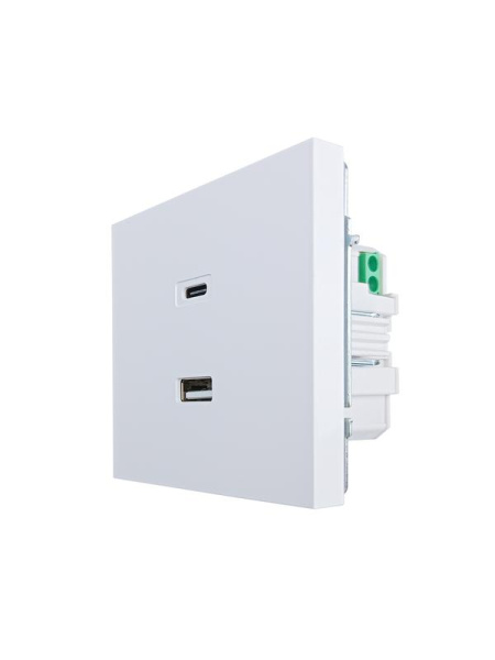 Розетка СП ZIMA IP20 Type-C + USB механизм бел. LEZARD 704-0288-192TC