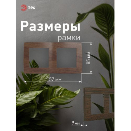 Рамка 2-м 12-5002-10 венге ЭРА Б0014760