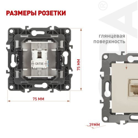 Розетка компьютерная Эра12 12-3107-02 RJ45 сл. кость Эра Б0014724