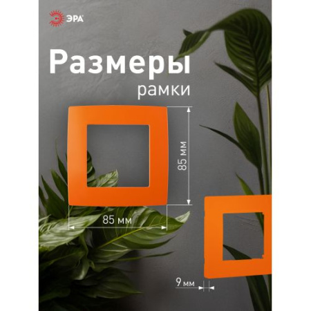 Рамка 1-м 12-5001-22 оранж. ЭРА Б0019387