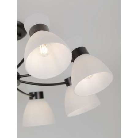 Люстра Aemilia 9185-308 8хЕ27 60Вт модерн Rivoli Б0069950