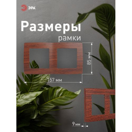 Рамка 2-м 12-5002-08 вишня ЭРА Б0014758