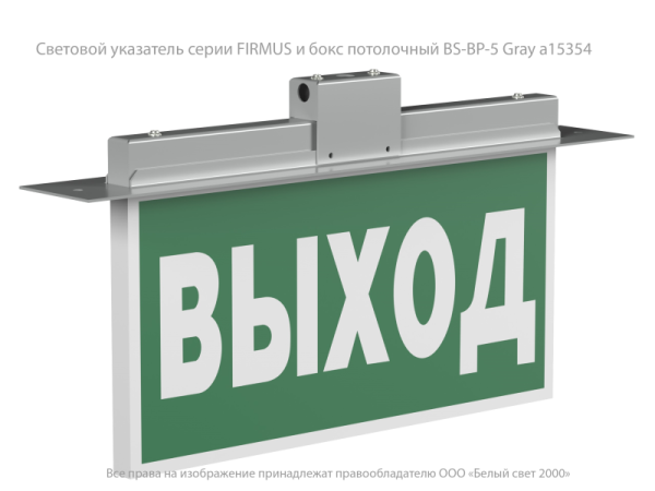 Указатель световой BS-FIRMUS-73-S1-INEXI2 Белый свет a18968