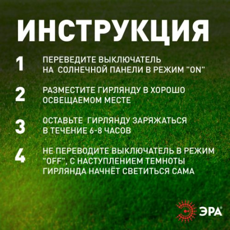Гирлянда садовая ERAGS08-05 10 подсвеч. светодиодами бутылочек Эра Б0038507