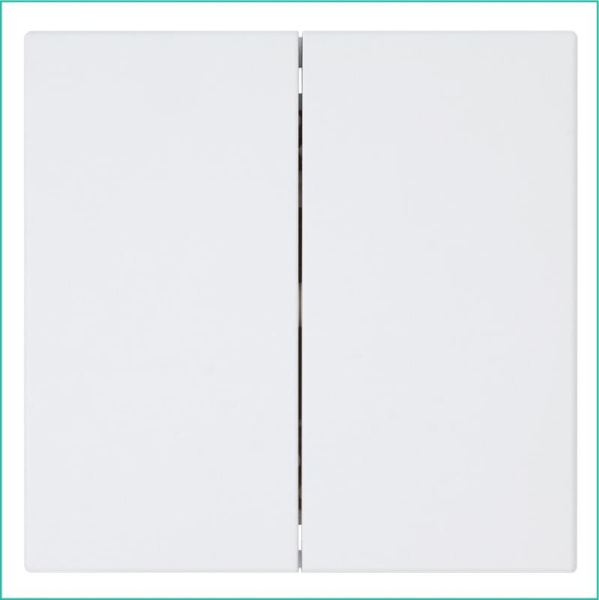 Выключатель 2-кл. СП FD 10А IP20 с накладкой механизм бел. матов. soft touch Jasmart FD3023PWM