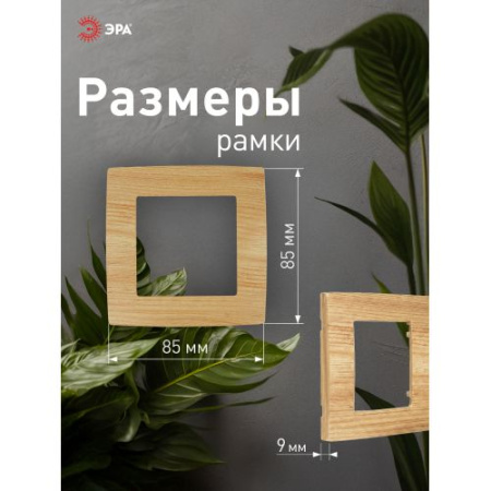 Рамка 1-м 12-5001-11 сосна ЭРА Б0019146