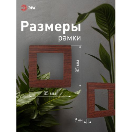 Рамка 1-м 12-5001-08 вишня ЭРА Б0014748