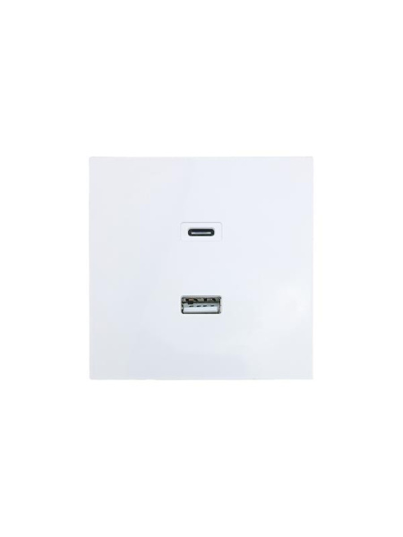 Розетка СП ZIMA IP20 Type-C + USB механизм бел. LEZARD 704-0288-192TC