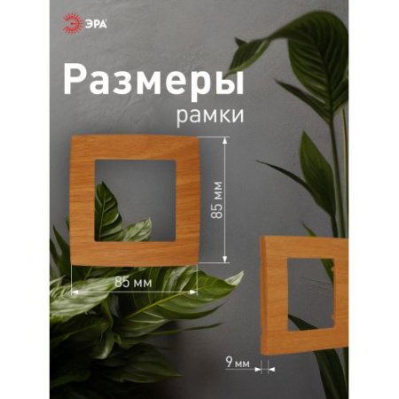 Рамка 1-м 12-5001-07 ольха ЭРА Б0014747